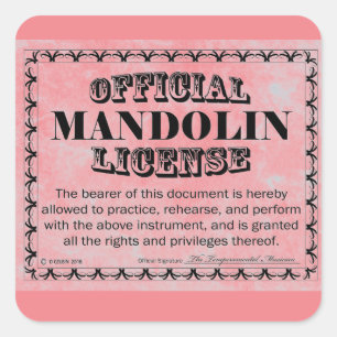 Mandolin License Square Sticker