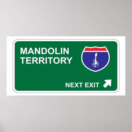 Mandolin Next Exit Poster (Voorkant)