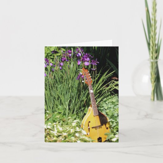 Mandoline et jardin de fleurs d'iris (Devant)