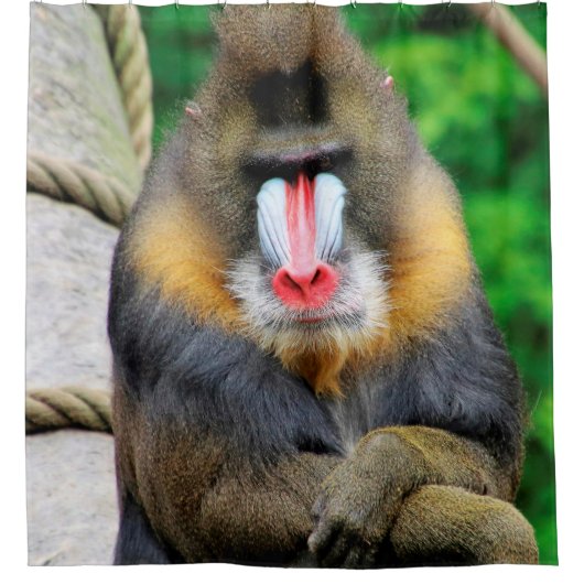 Mandrill 001 douchegordijn (Voorkant)