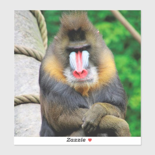 Mandrill 001 sticker (Vel)