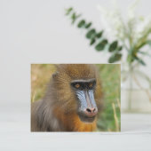 Mandrill Briefkaart (Staand voorkant)