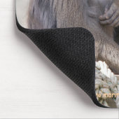 Mandrill et jeune tapis de souris (Coin)