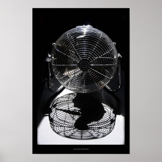 Mandrill Fan BW still Life Photography S Poster (Voorkant)