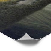 Mandrill Head Poster (Hoek)