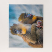 Mandrill Singes. Jigsaw Puzzle (Vertical)