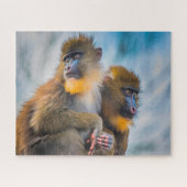 Mandrill Singes. Jigsaw Puzzle (Horizontal)
