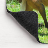 Maned Wolf loopt op gras Muismat (Hoek)