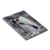 Manette Gentoo et cahier (Côté Droit)