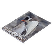 Manette Gentoo et cahier (Côté gauche)
