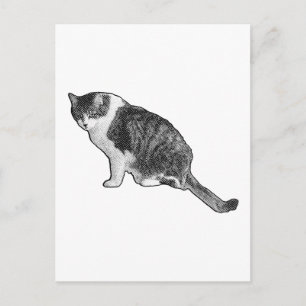 Manga kat postkaart levert grafisch vakantievermaa