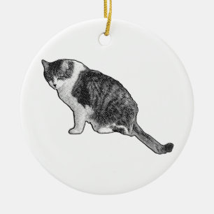Manga Stippen Kat Ornament Brengt Sfeer in Feestel