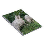 Mange Mange Mange Feuille Carnet (Côté Droit)