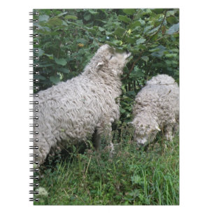 Mange Mange Mange Feuille Carnet