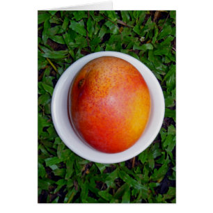 Mango hawaïen