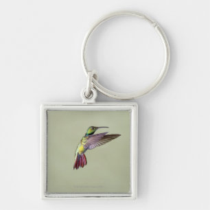 Mango Hummingbird Anthracocorax 2 Sleutelhanger