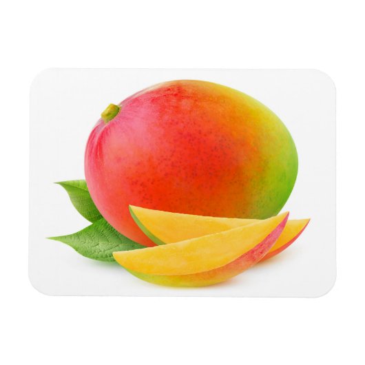 Mango knippen magneet (Horizontaal)