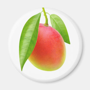 Mango Magneet