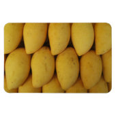 Mango Magneet (Horizontaal)