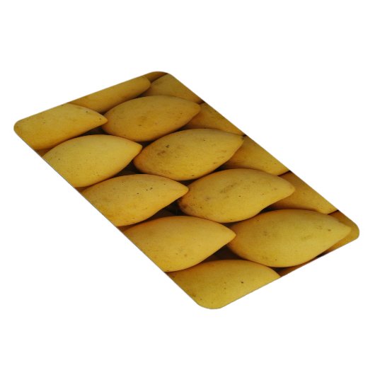 Mango Magneet (Rechterzijde)
