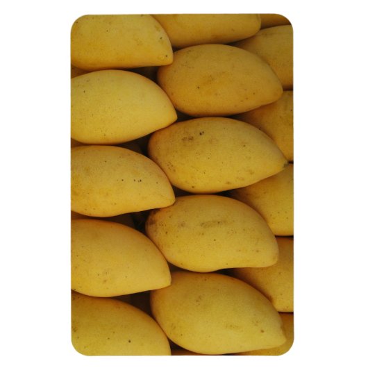 Mango Magneet (Verticaal)