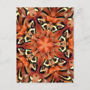 Mango Pheasant Feather Kaleidoscope Mandala Briefkaart