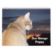 Mango Puppy Kalender (Hoes)