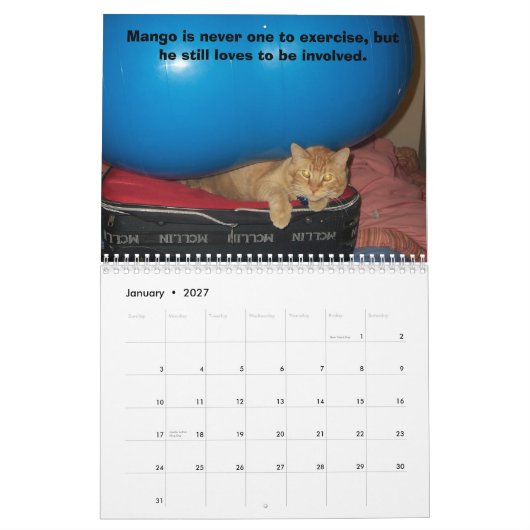 Mango Puppy Kalender (Jan 2027)