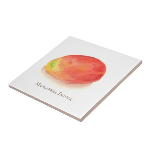 Mango. Tegeltje (Zijkant)