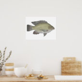 Mango Tilapia Poster (Keuken)