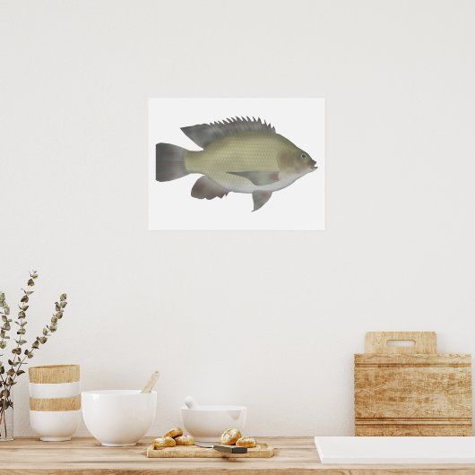 Mango Tilapia Poster (Keuken)
