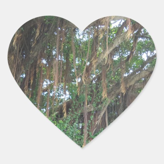 Mangrov Trees Heart Sticker (Voorkant)