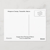 Mangrove Canopy, Tenacatita, Mexico Briefkaart (Achterkant)