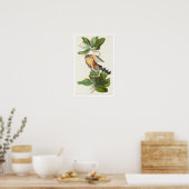 Mangrove Cuckoo par Audubon Poster (Cuisine)