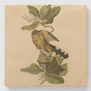 Mangrove Cuckoo uit Audubon's Birds of America Stenen Onderzetter