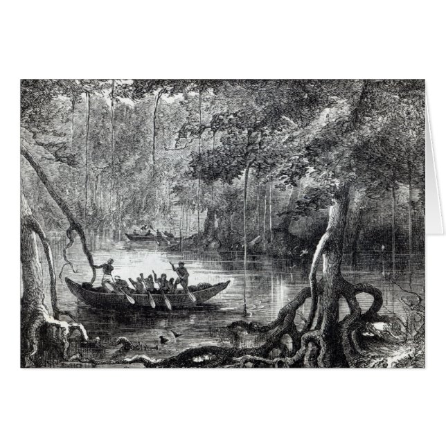Mangrove Forest'' (Voorkant Horizontaal)