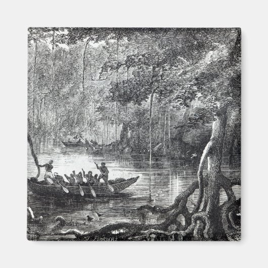 Mangrove Forest'' Magneet (Voorkant)