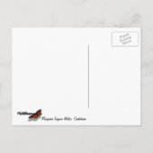 Mangrove Lagoon Water Blue Briefkaart (Achterkant)