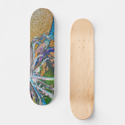 Mangrove Roots II Skateboard (Recto)