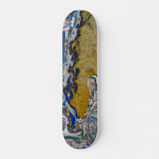 Mangrove Roots Skateboard (Voorkant)