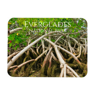 Mangrove Stilt Roots, Swamp, Everglades Magneet