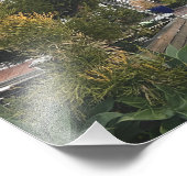 Manhattan Beach, Californie Photo (Coin)