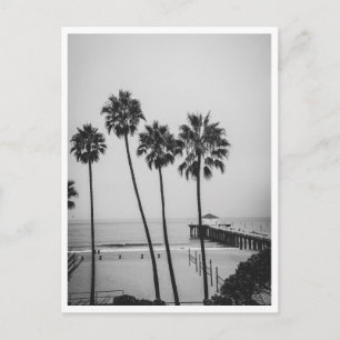 Manhattan Beach Pier en palmboom zwart-wit Briefkaart