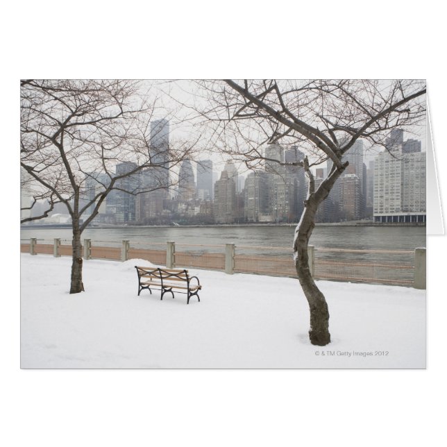 Manhattan en hiver (Devant horizontal)