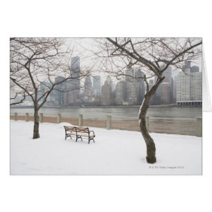 Manhattan pendant l'hiver