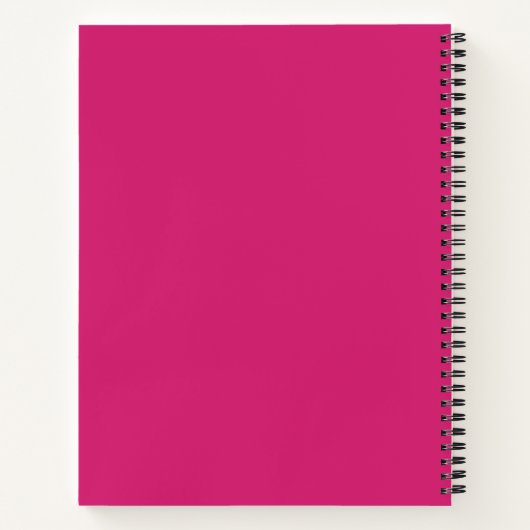 Manifestations Scripting Journal Notitieboek (Achterkant)