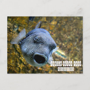 Manila Ocean Park op de Filipijnen Briefkaart