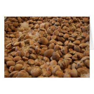 manilla clams