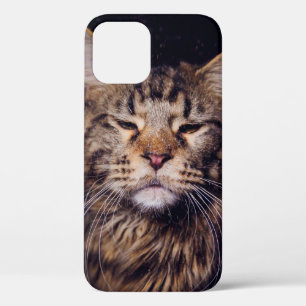 maninegeld op een zwarte achtergrond - jongdier ,  iPhone 12 hoesje