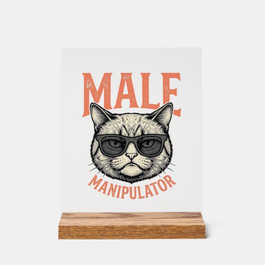 Manipulateur Masculin Lunettes de Soleil Chat Drôl (Recto)